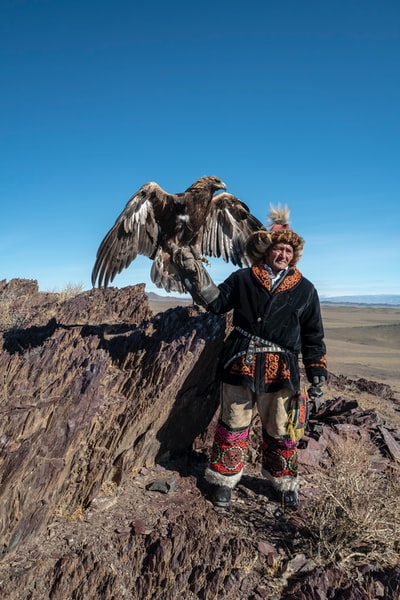 棕色的老鹰栖息在一个人的手上穿着黑色外套站在岩石上